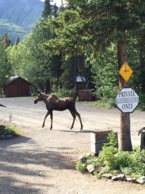 Гостиница Carlo Creek Lodge  Мак-Кинли Парк